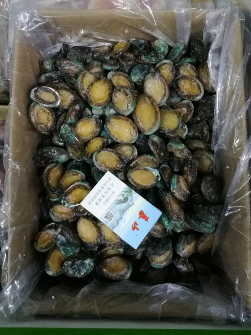 鲍鱼，活冻鲍鱼。漂烫鲍鱼，
