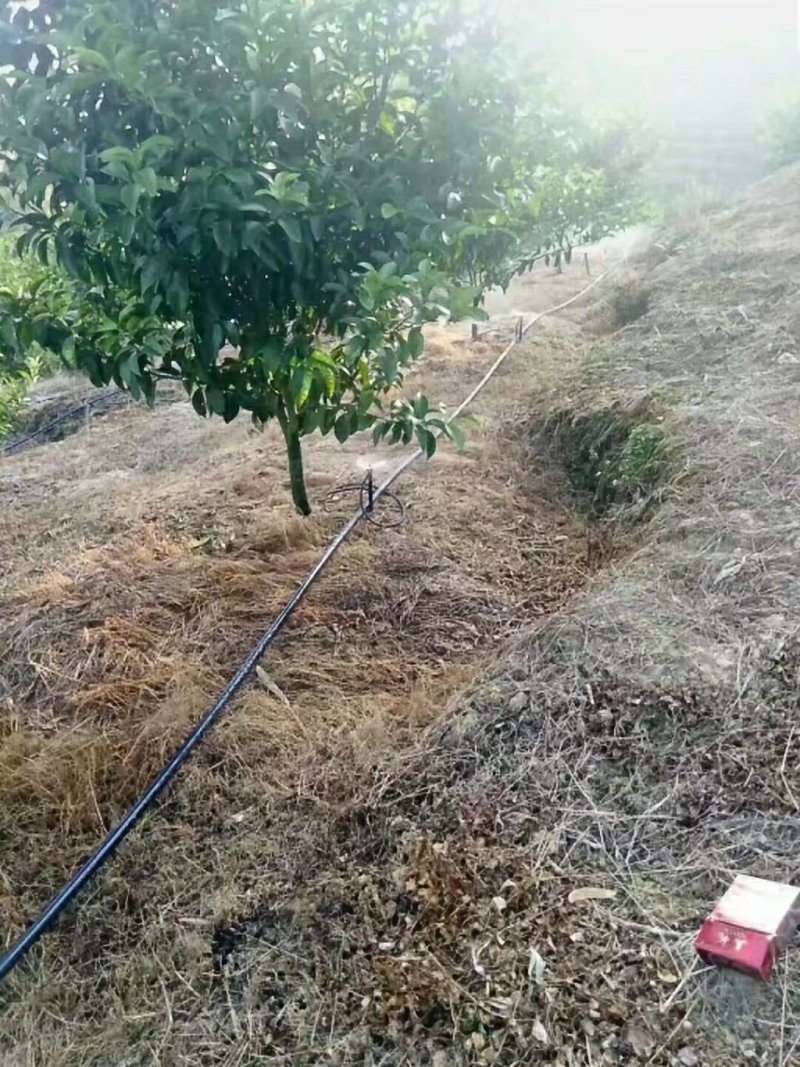 柑橘专用滴灌！滴灌管