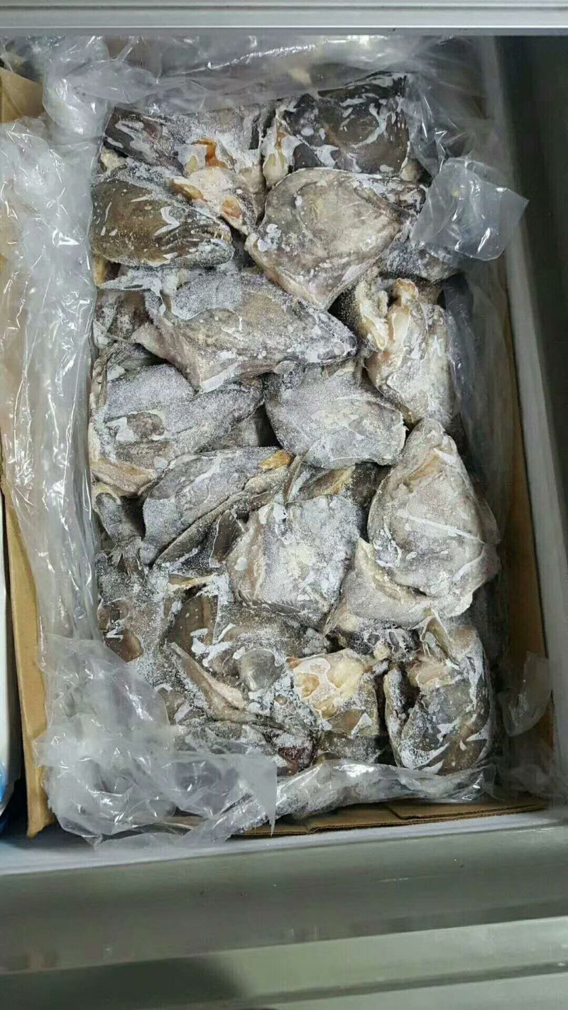 鲽鱼，碟鱼头，鲽鱼尾，格陵兰正宗鲽鱼