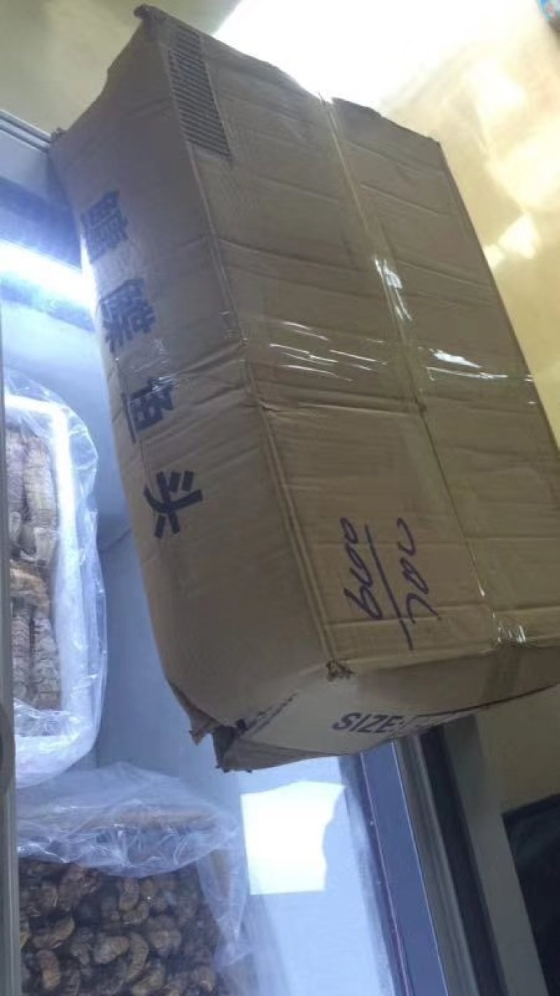 鲽鱼，碟鱼头，鲽鱼尾，格陵兰正宗鲽鱼