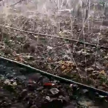 蔬菜药材专用喷灌。必不可少