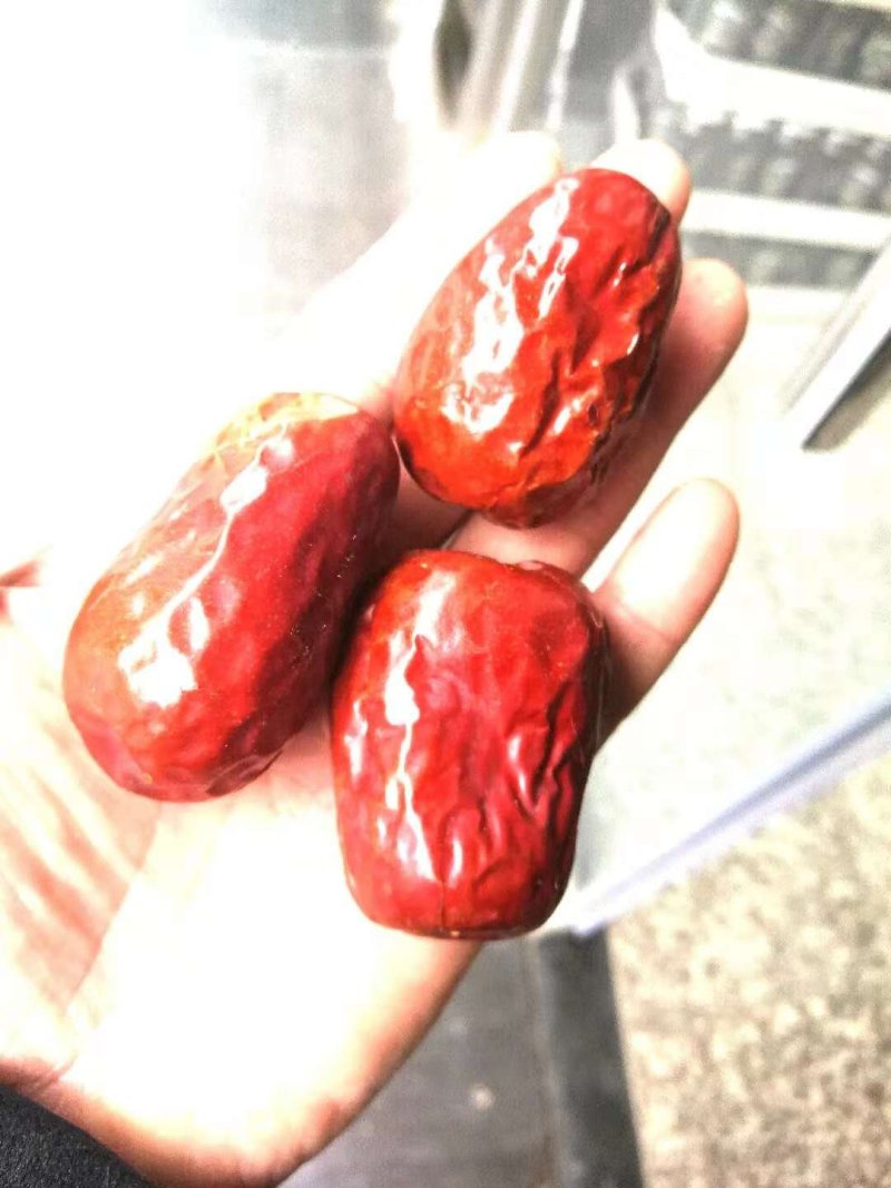 和田骏枣