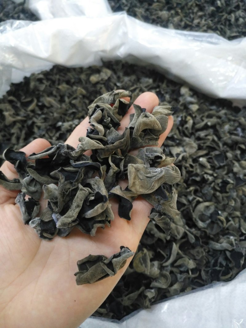 木耳黑厚东北耳，可看视频，产地直销