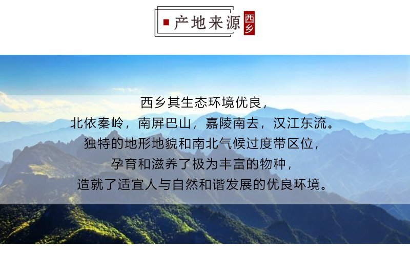 陕西西乡绿珠茶业有限公司