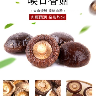 陕西西乡绿珠茶业有限公司