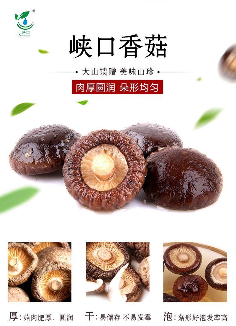 陕西西乡绿珠茶业有限公司