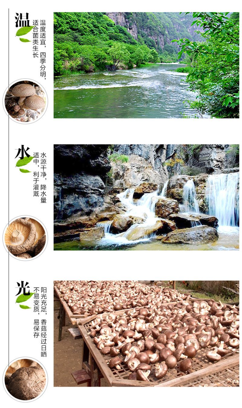 陕西西乡绿珠茶业有限公司