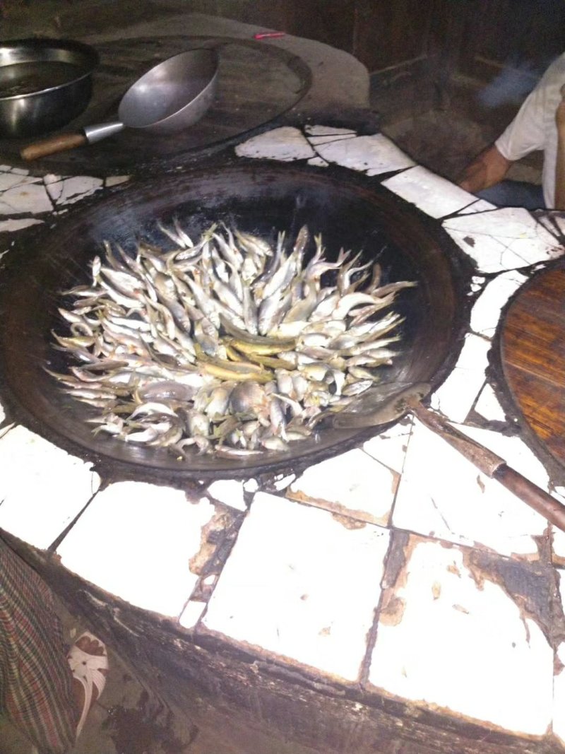 小山村溪流小杂鱼