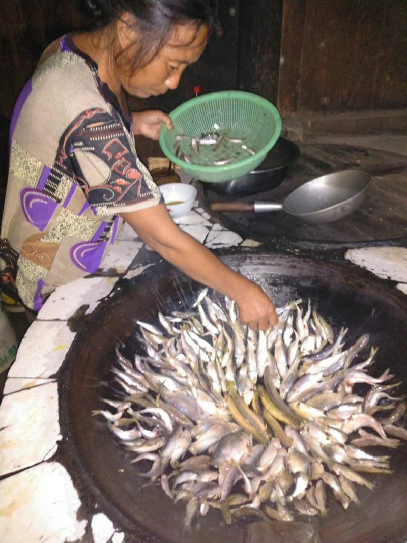 小山村溪流小杂鱼
