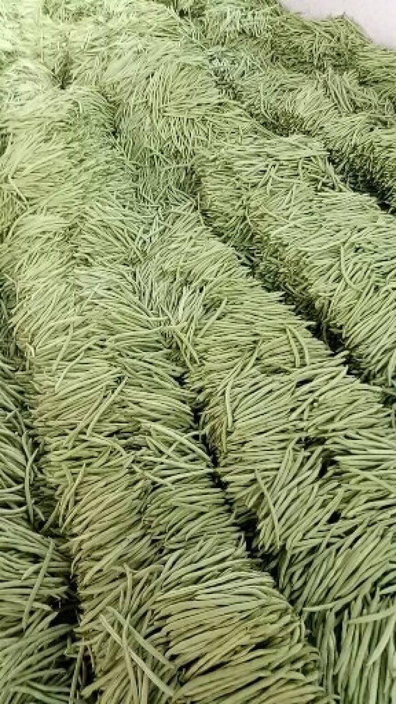 小金豆