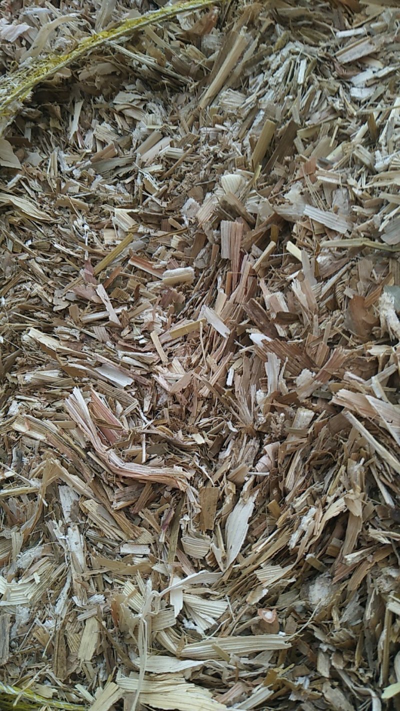 过夏包干玉米秸秆扎段草压块炒好。质量杠杠的，包干。