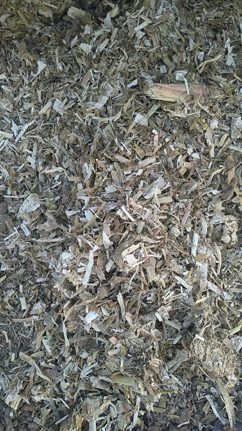过夏包干玉米秸秆扎段草压块炒好。质量杠杠的，包干。