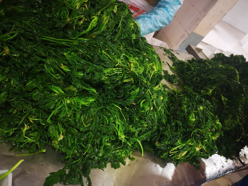 速冻荠菜速冻荠菜馅