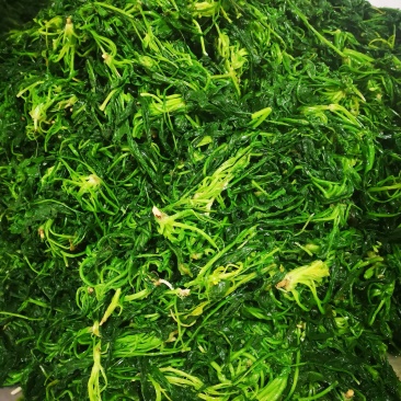 速冻荠菜速冻荠菜馅
