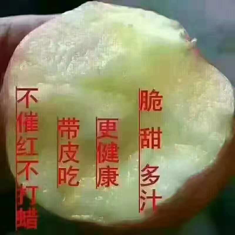 苹果