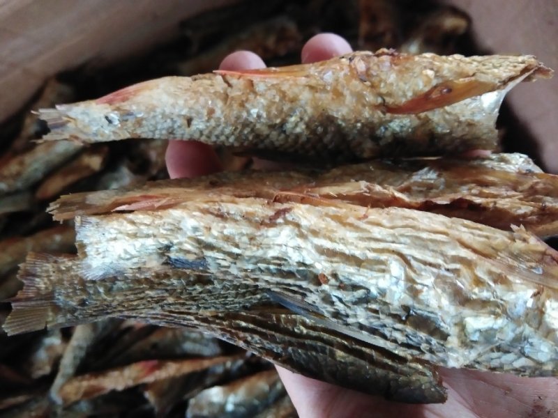 火焙鱼干