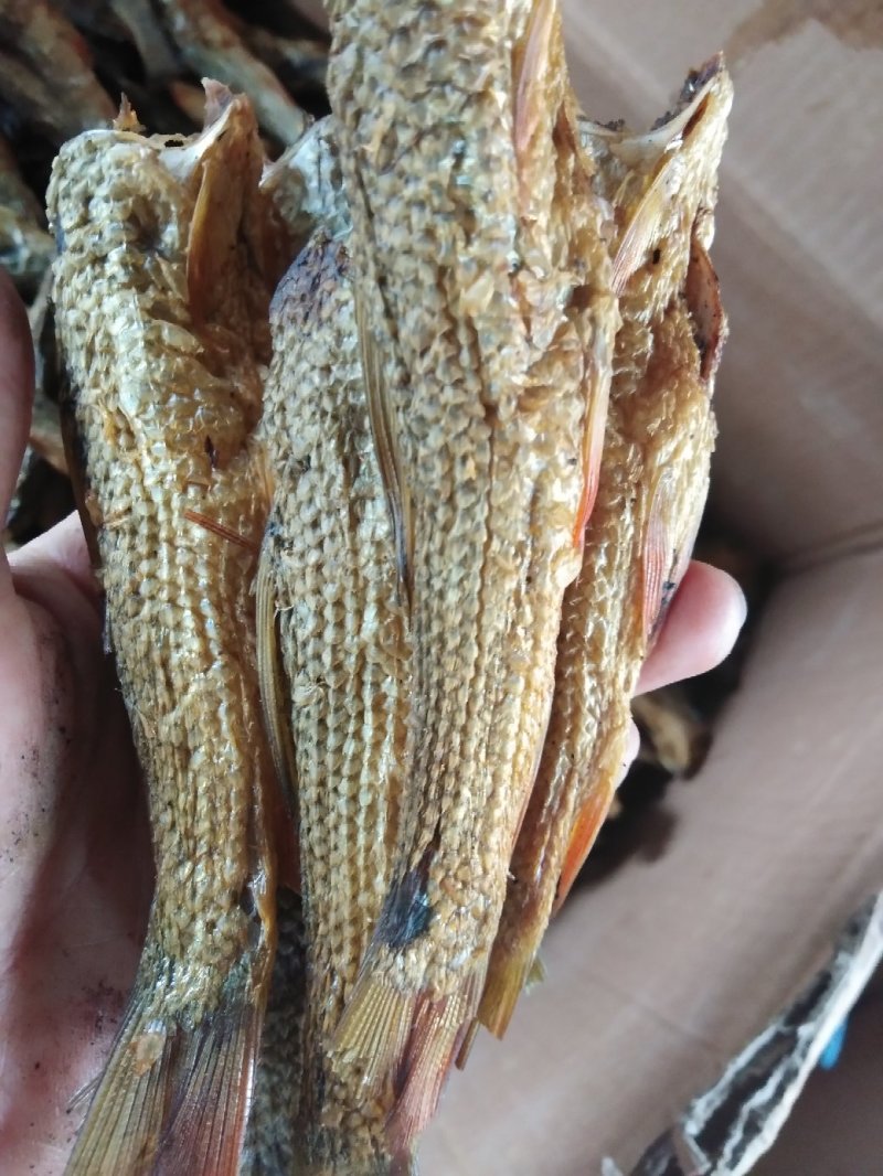 火焙鱼干