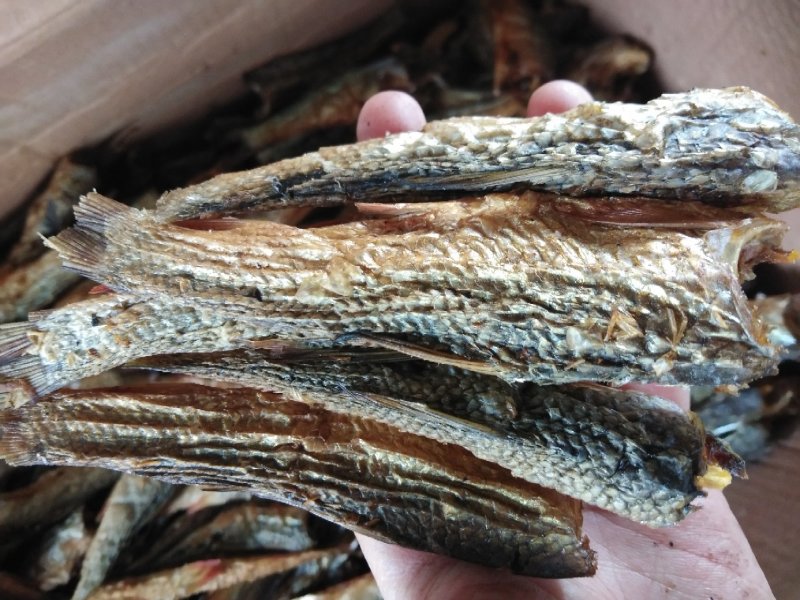 火焙鱼干