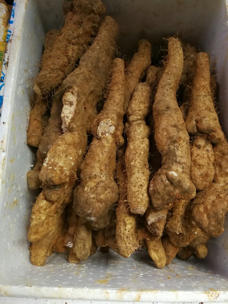 正宗瑞昌山药非铁棍淮山瑞昌特产