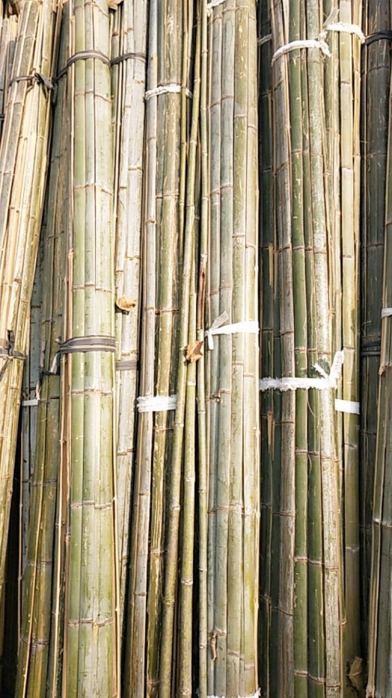 批发大小竹杆