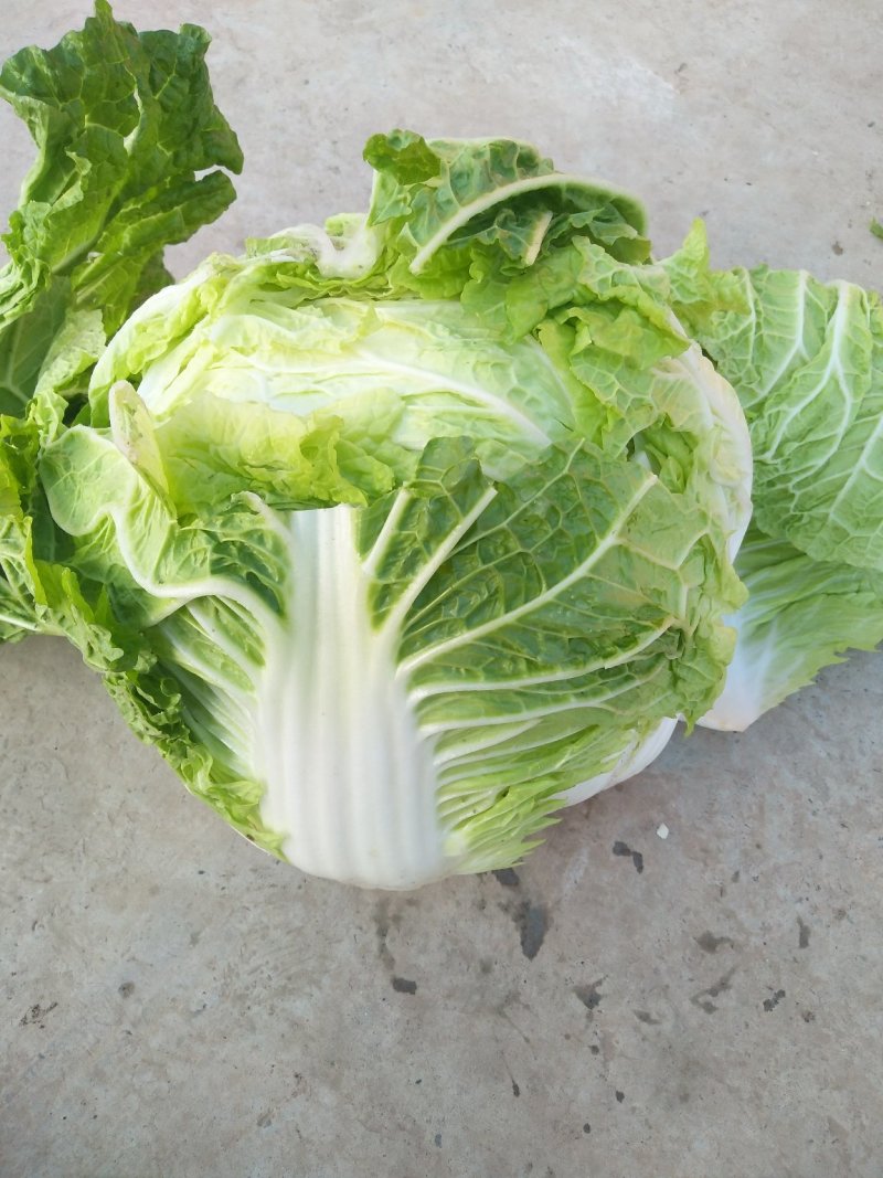精品小包基地新鲜供应量市场，平台。库存，大量现