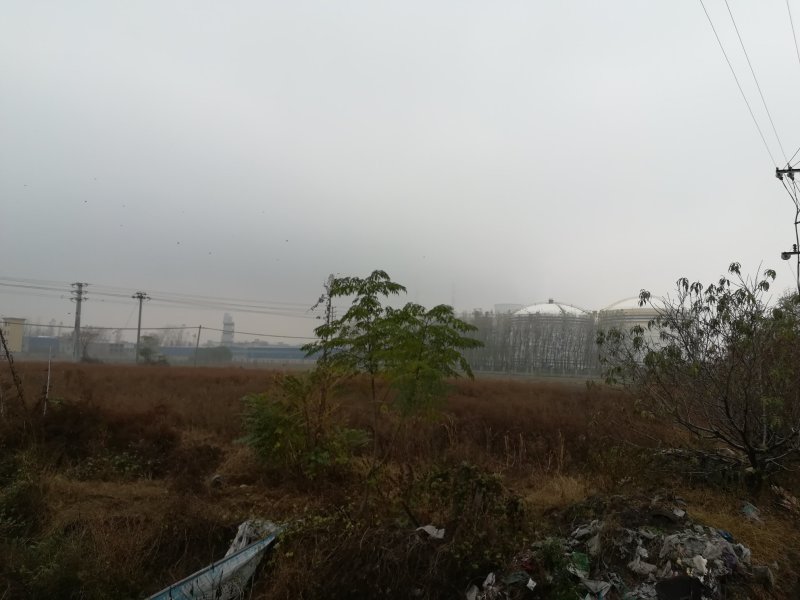 安徽淮北100亩藕塘出租