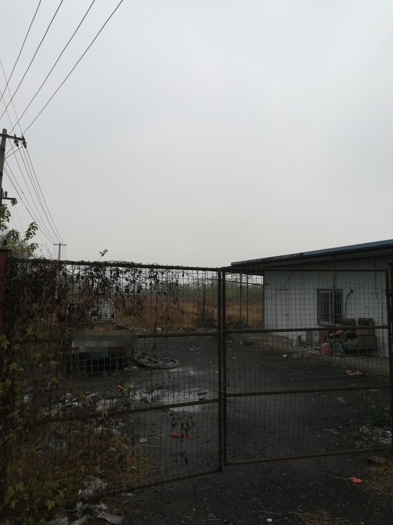 安徽淮北100亩藕塘出租