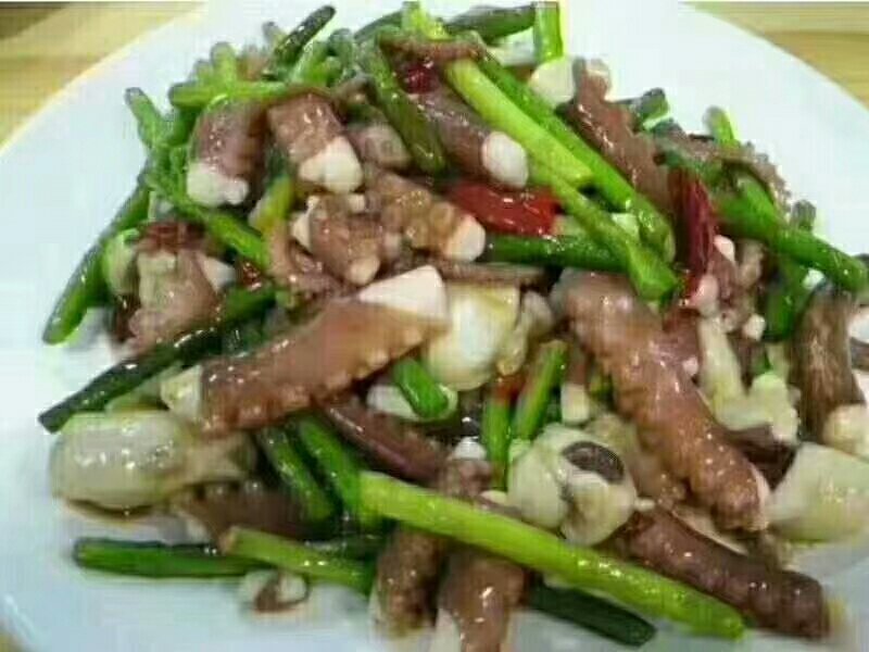 爆头八爪鱼一箱3斤