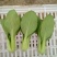 长期供应精品小青菜，