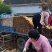 【产地直供】假铁棍山药，一手货源批发品质保证价格美丽