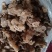 贵州正宗野生黄精，姜形甜品，水洗无硫蒸一次干统货。