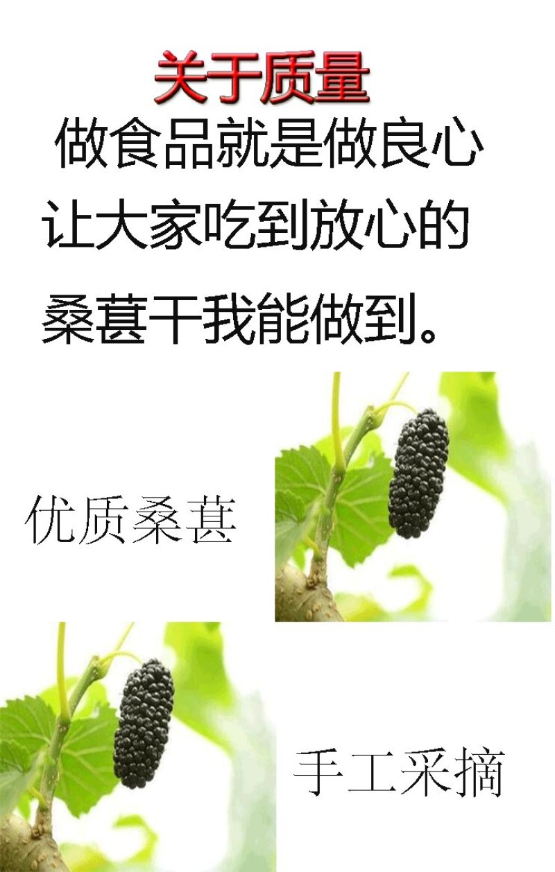 四川手选桑葚干黑桑椹无沙免洗泡水泡酒批发包邮零售