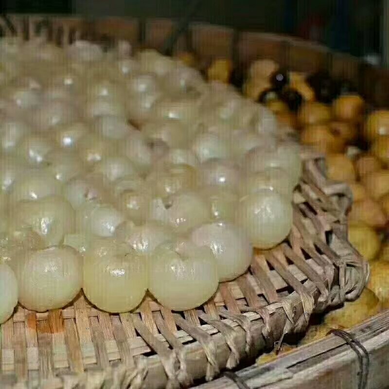 龙眼肉