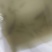 正宗土鲫鱼