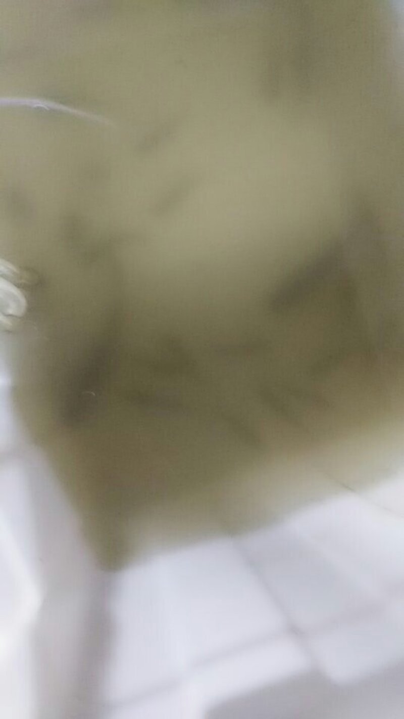 正宗土鲫鱼