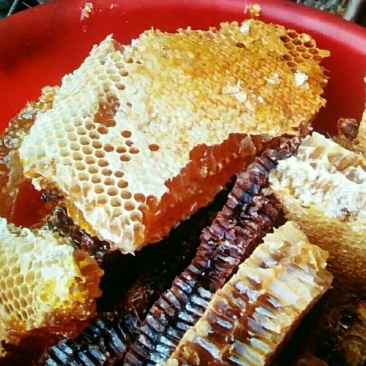 野生蜂蜜