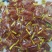 糖果，软糖，硬糖，牛奶糖，酥糖，鲜乳球，玉米糖，橘子糖。