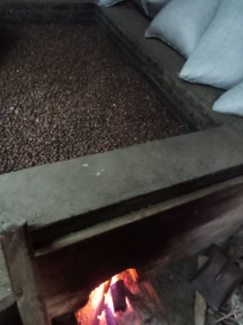 湖南茶油平江童市镇，百年土榨山茶油，味正油浓，