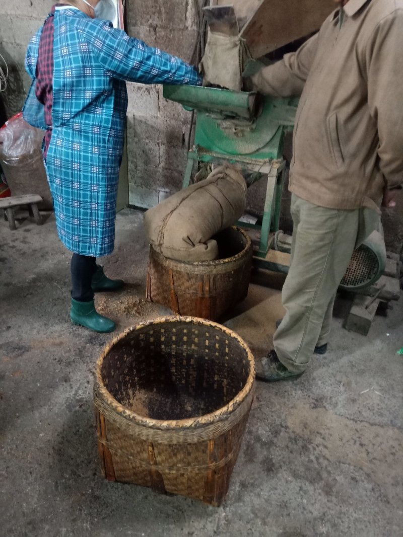 湖南茶油平江童市镇，百年土榨山茶油，味正油浓，