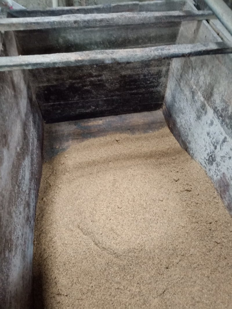 湖南茶油平江童市镇，百年土榨山茶油，味正油浓，