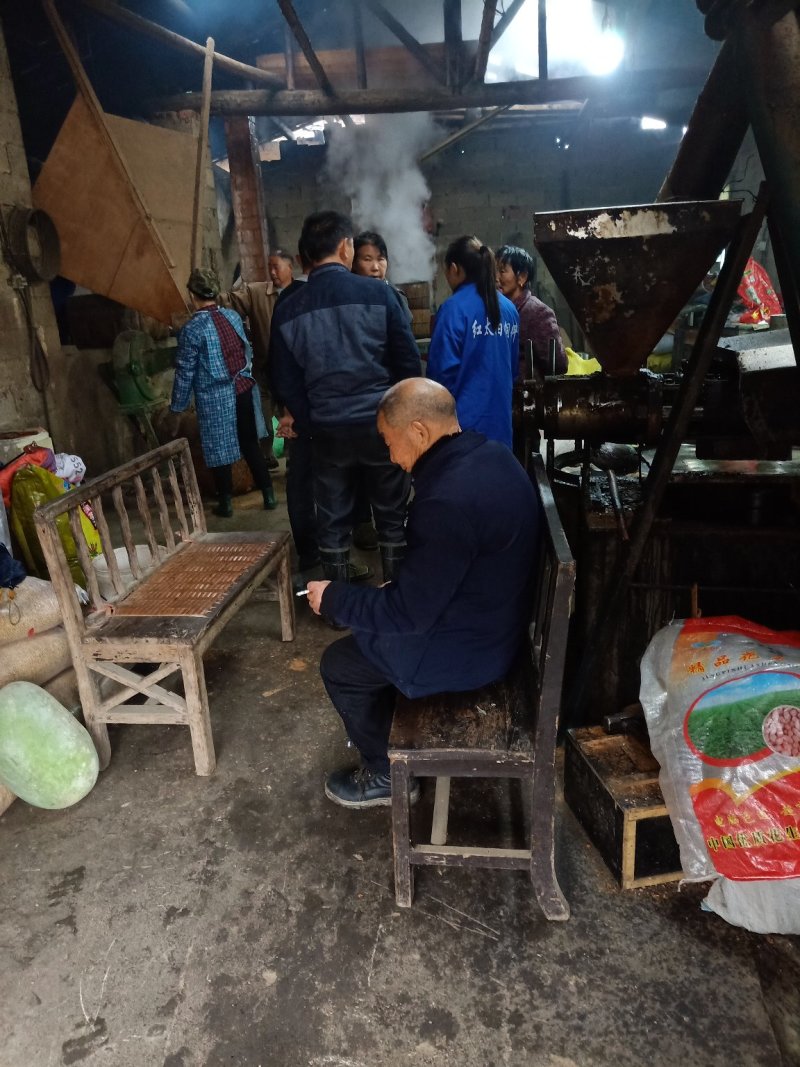 湖南茶油平江童市镇，百年土榨山茶油，味正油浓，