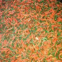小米椒：直条直把：青米椒