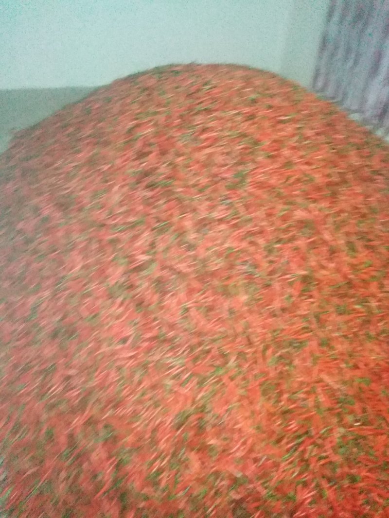 小米椒：直条直把：青米椒