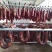 （熟）新疆伊犁熏马肉、熏马肠