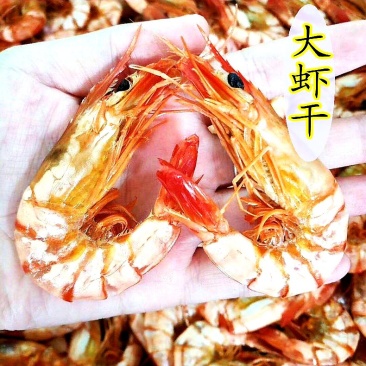 野生大海虾干，118/包/500克，1包起全国包邮