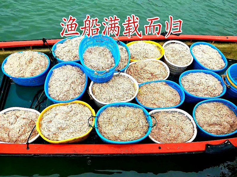 野生大海虾干，118/包/500克，1包起全国包邮