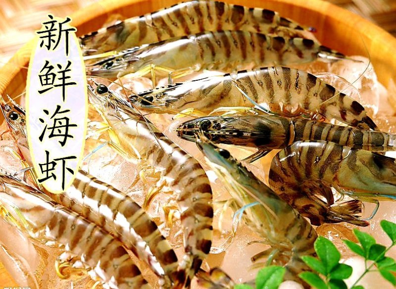 野生大海虾干，118/包/500克，1包起全国包邮