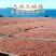 野生大海虾干，118/包/500克，1包起全国包邮