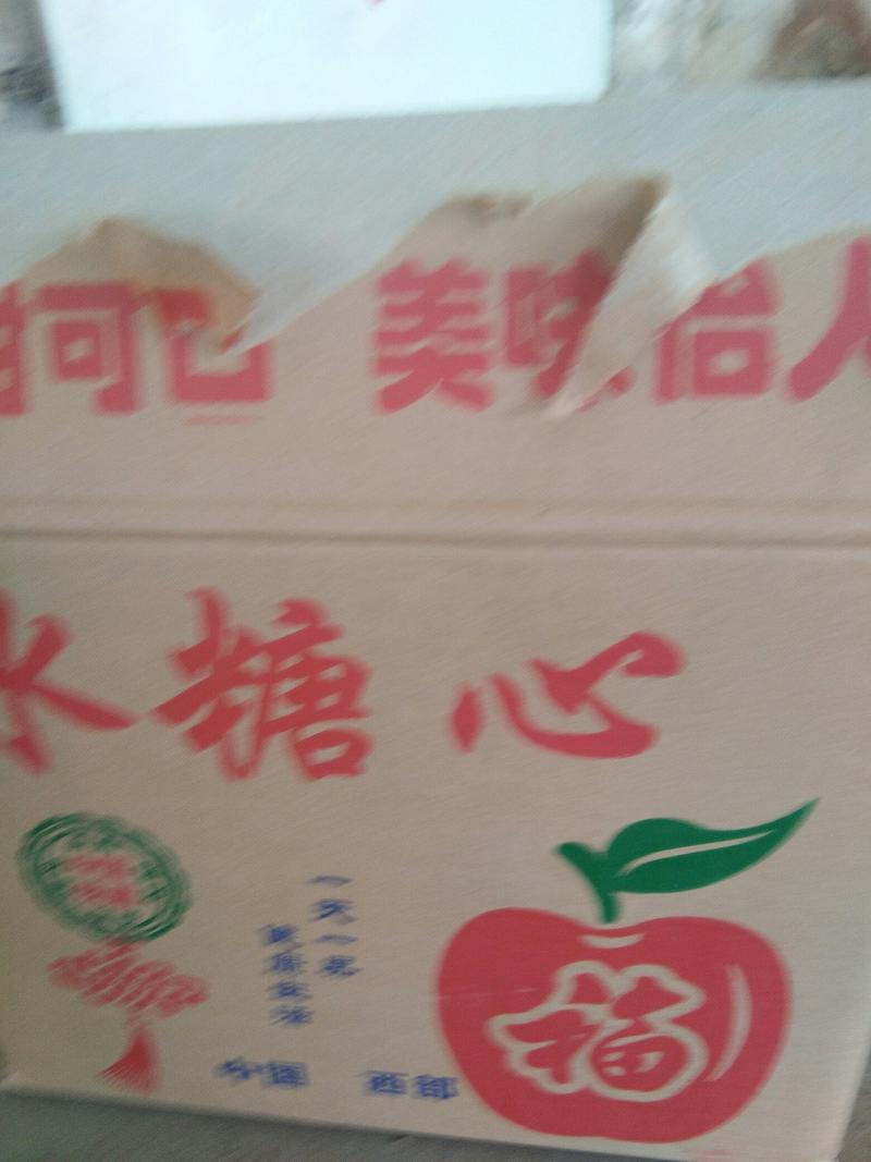 河南虞城红富士苹果，一手货源，价格低，70左右小果
