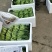 菜苔叶菜精品广东菜心